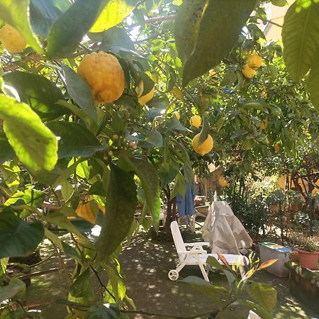 Hotel Il Giardino Nascosto Neapol Zewnętrze zdjęcie