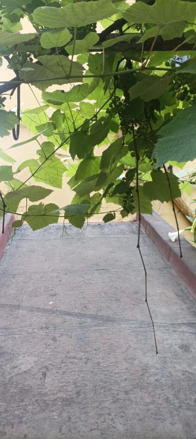 Hotel Il Giardino Nascosto Neapol Zewnętrze zdjęcie
