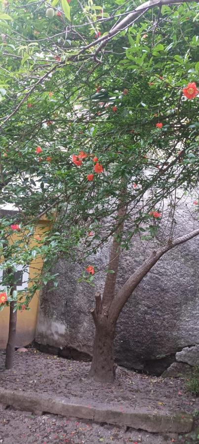 Hotel Il Giardino Nascosto Neapol Zewnętrze zdjęcie