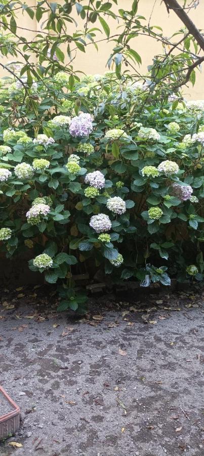 Hotel Il Giardino Nascosto Neapol Zewnętrze zdjęcie