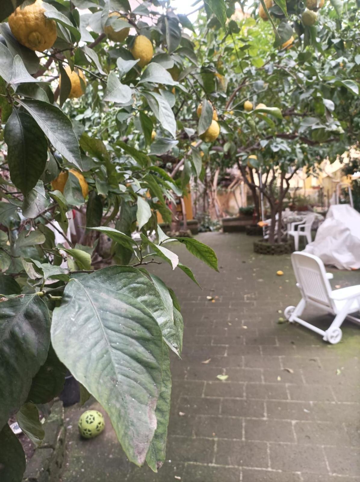 Hotel Il Giardino Nascosto Neapol Zewnętrze zdjęcie