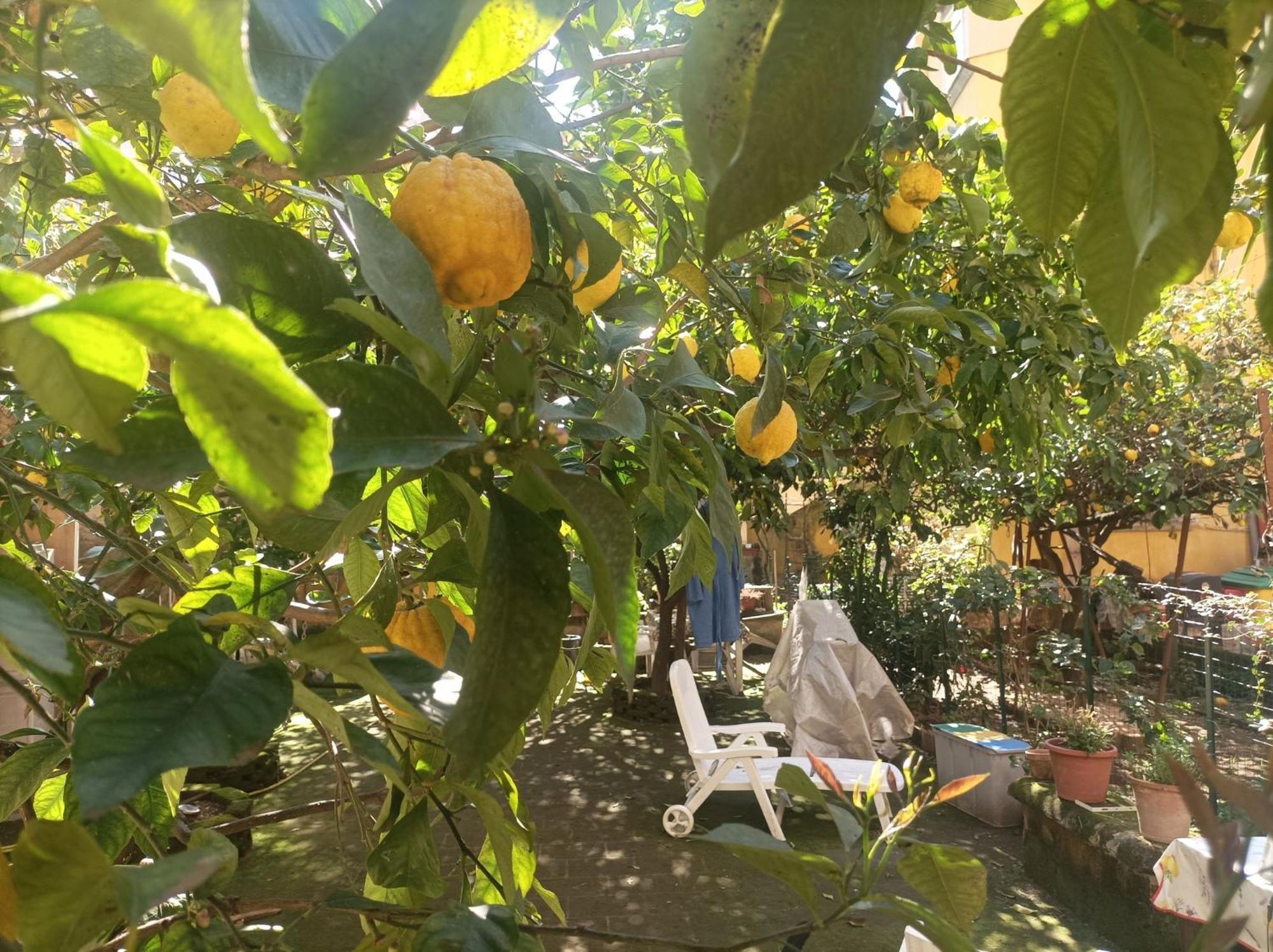 Hotel Il Giardino Nascosto Neapol Zewnętrze zdjęcie