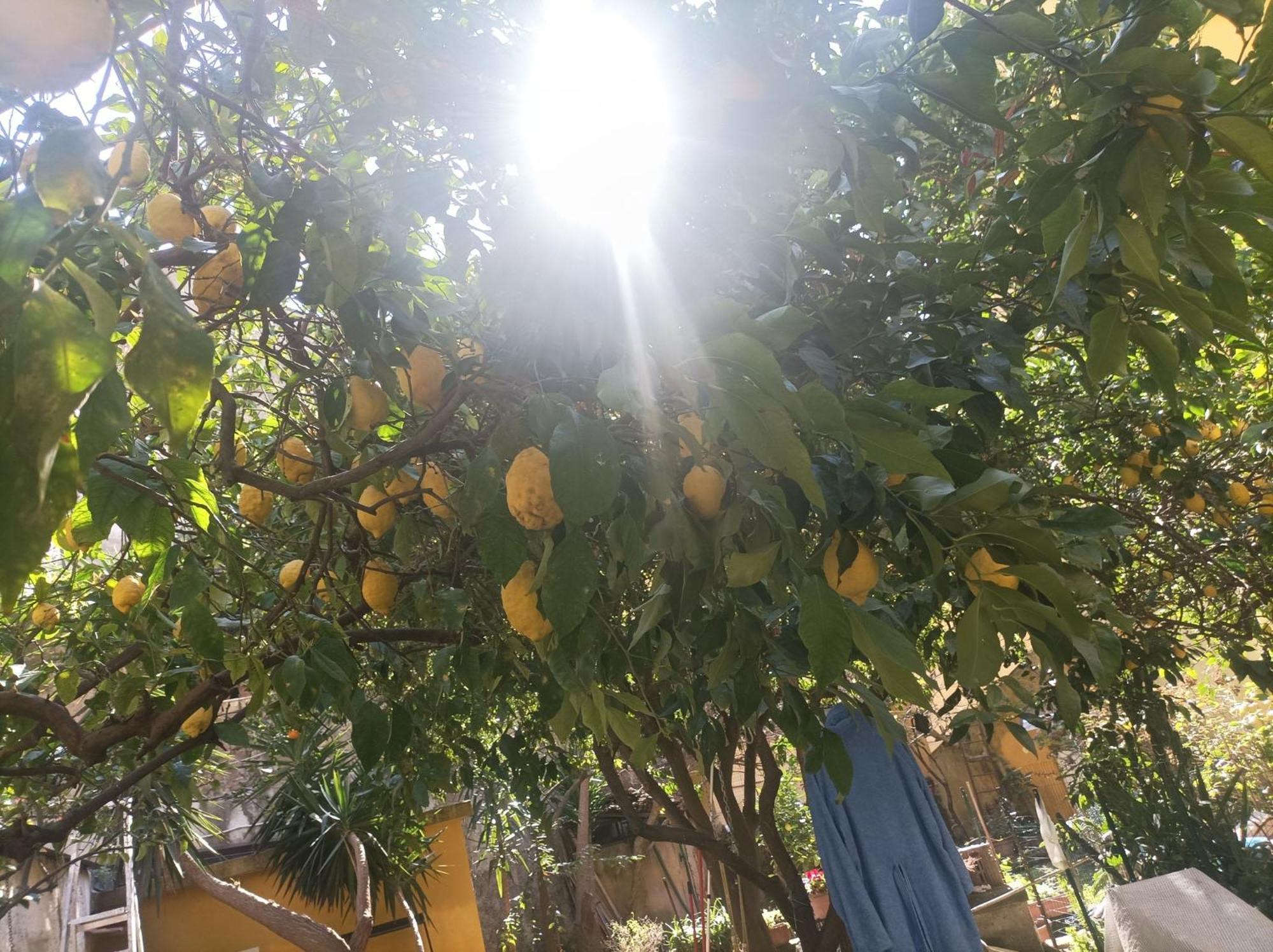 Hotel Il Giardino Nascosto Neapol Zewnętrze zdjęcie